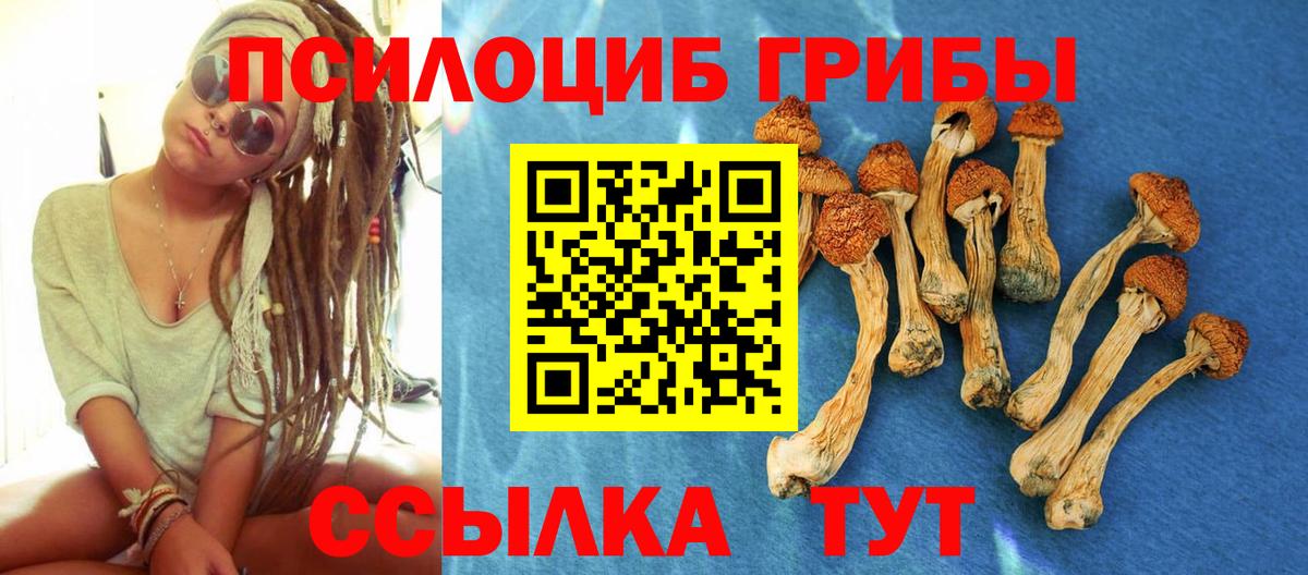 Псилоцибиновые грибы Psilocybe  Вход с VPN  Сертолово 
